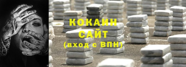 молекула духа Арсеньев