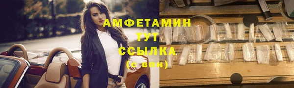 молекула духа Арсеньев