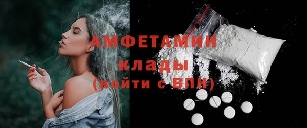 молекула духа Арсеньев