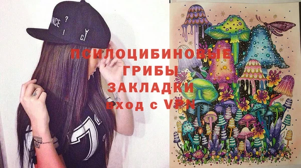 молекула духа Арсеньев