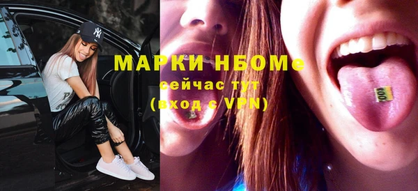 молекула духа Арсеньев